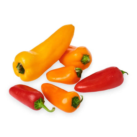 Baby Capsicum - 灯笼椒(迷你)