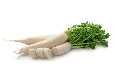 Japanese Daikon - 日本白蘿蔔
