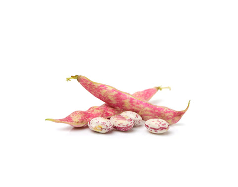 Pearl Beans - 珍珠豆