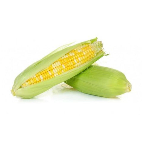 Pearl Corn (Mixed Colour) - 珍珠玉米