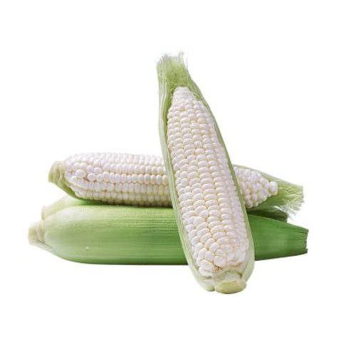 Pearl Corn (White) - 珍珠玉米(白)
