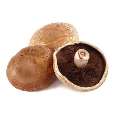 Portobello Mushroom - 波托贝罗蘑菇