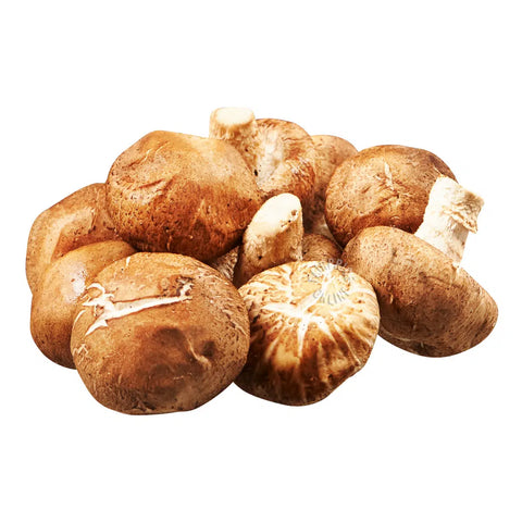 Shiitake Mushroom - 花菇