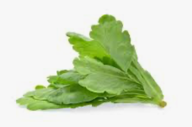 Pesticide Free Japanese Tang Oh (Chrysanthemum Greens) (Singapore) - 无农药茼蒿  (新加坡）