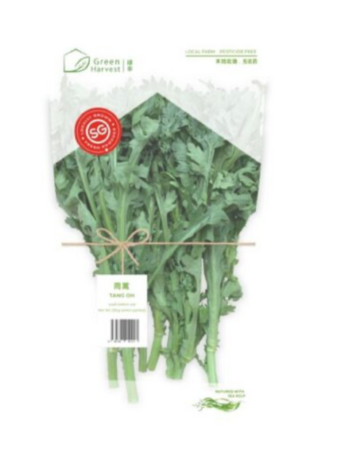 Pesticide Free Japanese Tang Oh (Chrysanthemum Greens) (Singapore) - 无农药茼蒿  (新加坡）