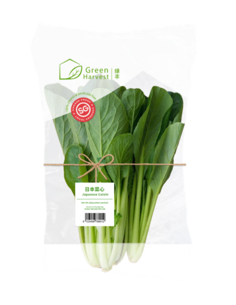 Pesticide Free Komatsuna (Singapore) - 无农药小松菜 (新加坡）