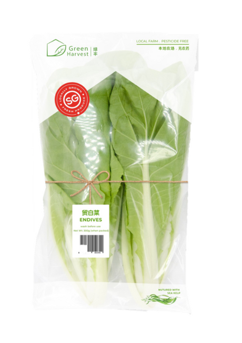 Pesticide Free Endive (Pa Bo Cai) (Singapore) - 无农药京白菜 （新加坡）