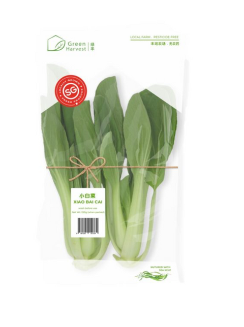 Pesticide Free Xiao Bai Cai (Singapore) - 无农药小白菜 （新加坡）