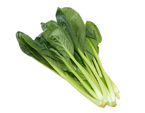 Pesticide Free Komatsuna (Singapore) - 无农药小松菜 (新加坡）
