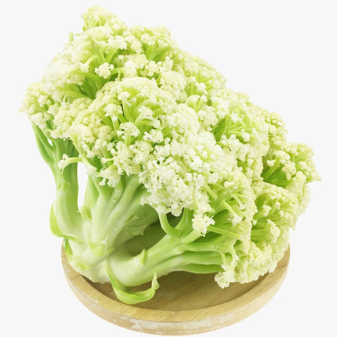 Cauliflower (Taiwan) - 散花 (台湾)