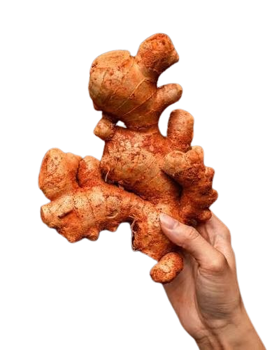 Authenic Bentong Ginger - 正文冬姜