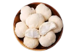 Lion's Mane Mushroom (Singapore) - 猴头菇 (新加坡)