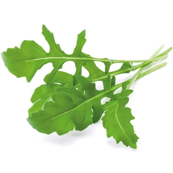 Arugula (Rockets) - 火箭叶 – Le Fresco