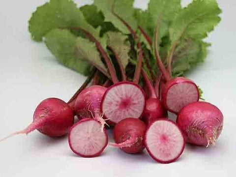 Baby Red Radish -  红萝卜(迷你）