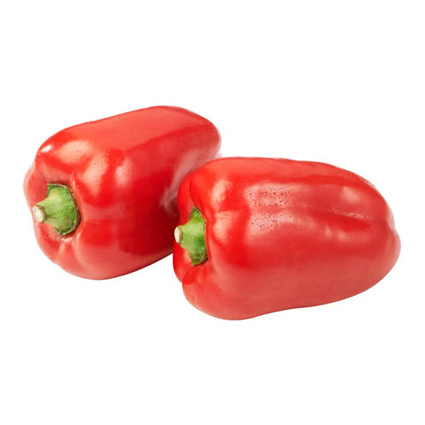 Capsicum (Red) - 灯笼椒(红)