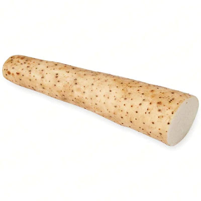 Chinese Yam (Japan) - 淮山(日本)