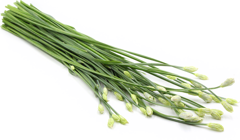 Garlic Chives - 韭菜花