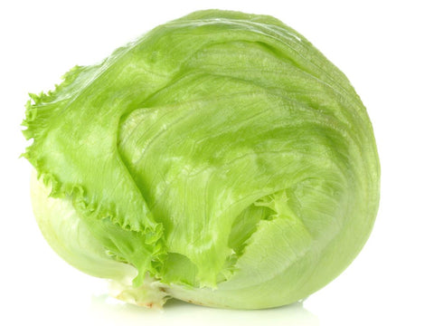 Iceberg Lettuce - 生菜粒