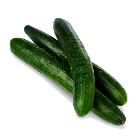 Japanese Cucumber - 日本黄瓜