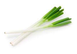 Japanese Leek - 大葱