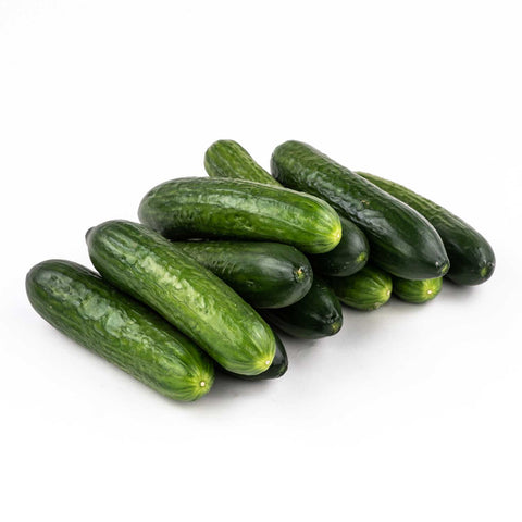 Lebanese Cucumber - 小黄瓜