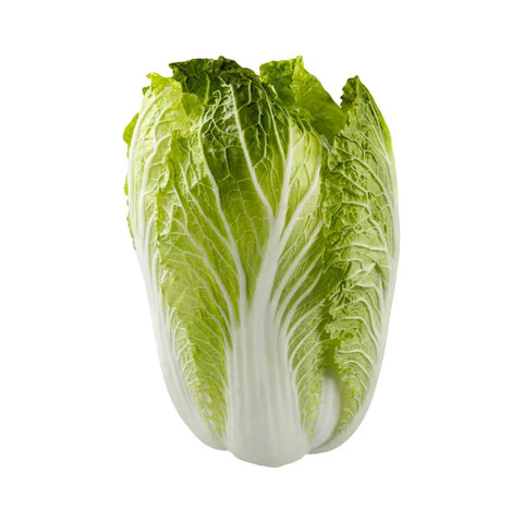 Napa Cabbage - 大白菜