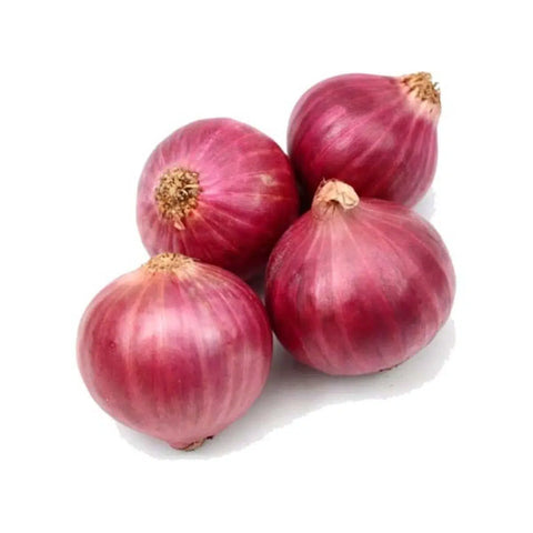 Red Onion - 大红葱