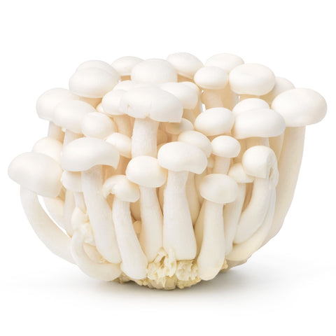 Shimeji Mushroom (White) - 鸿喜菇(白)