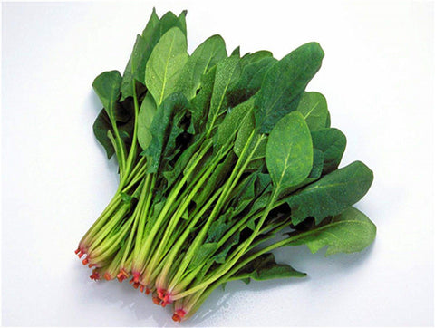 Chinese Baby Spinach - 菠菜苗