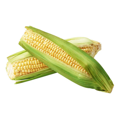 Sweet Corn - 玉米