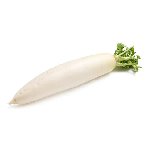 White Radish (China) - 白萝卜 (中国)